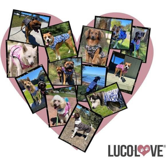 Dog Cooling Vest, Lightweight 2-Layer Camo Army Print Pet Cooler Jacket - Picture 6 of 14